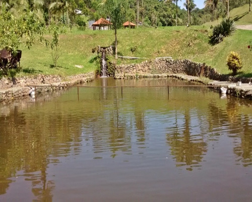 Imagem 9 de 30 de Sitio À Venda Em Juquitiba, - 21 - 32982657