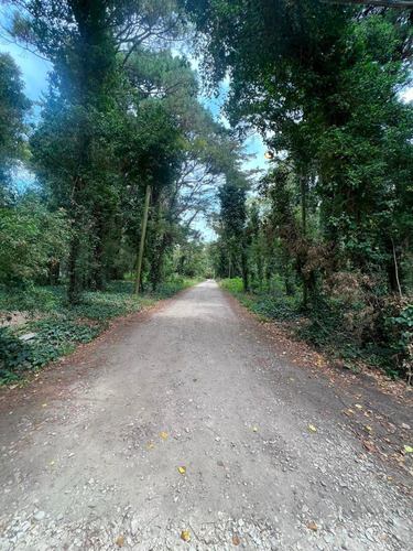 Imagen 7 de 11 de Vendo Lote 750 Mts Bosque P. Ramos Parquizado U$s 55.000.-