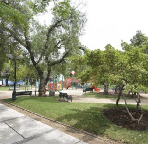 Local Comercial Bodega Diego De Almagro Con El Bosque