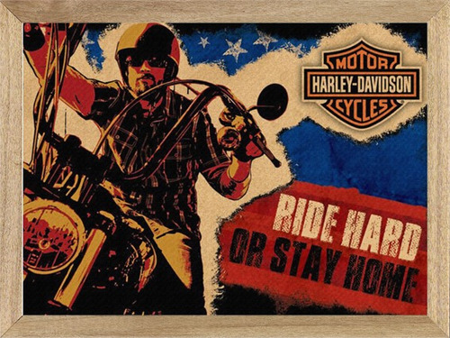 Harley Davidson ,cuadros, Poster, Publicidad  B270