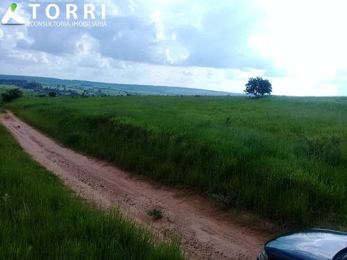 Imagem 10 de 10 de Fazenda À Venda Região De Bauru - Fa00132 - 69211844