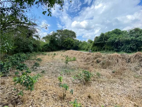 Lote En Venta Calarca- Vereda La Bella