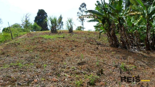 Imagem 15 de 30 de Sítio À Venda, 10000 M² Por R$ 250.000,00 - Piedade - Piedade/sp - Si0017