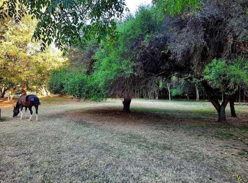 Imagen 7 de 18 de Chacras Del Paraná - Terreno
