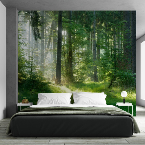 Vinilo Fotomural Empapelado Mural Pared Bosque Selva 5a8