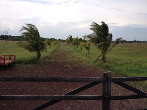 Imagen 5 de 12 de Terreno En Venta La Piedra