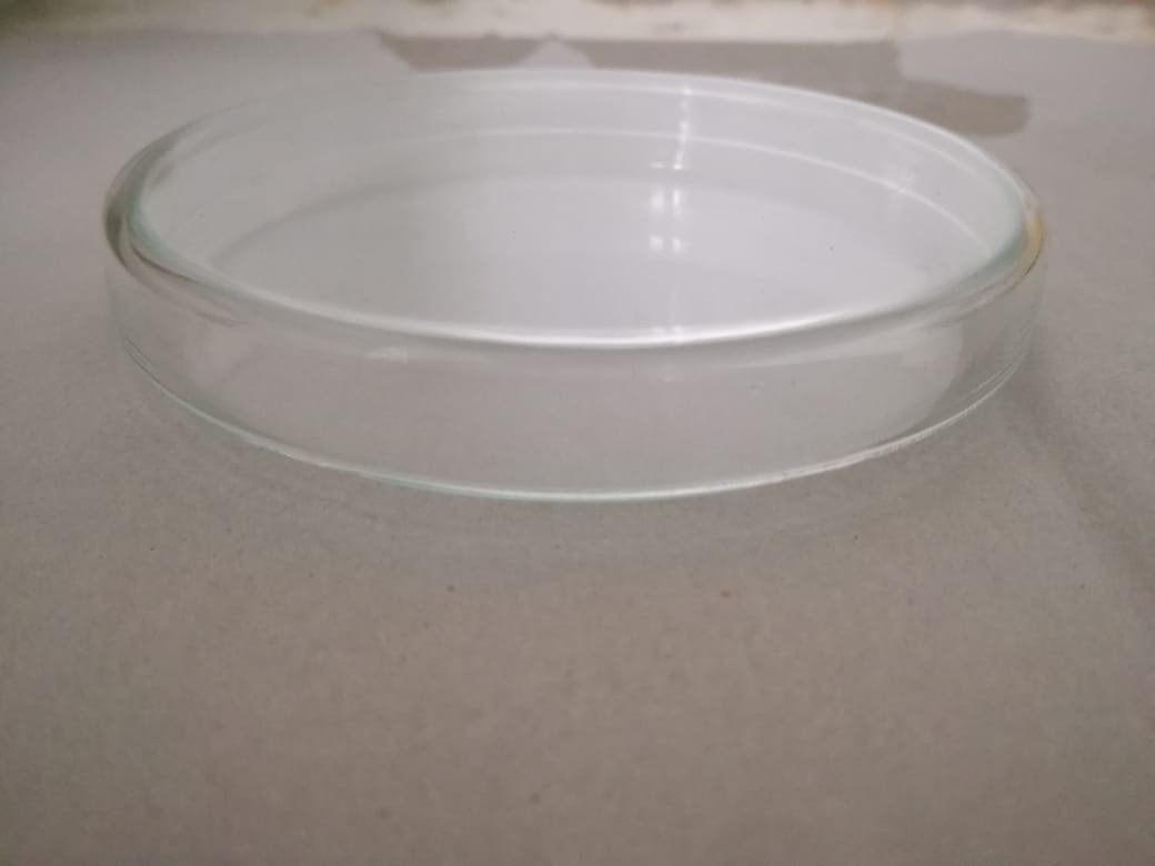 Que Es Una Caja De Petri Cajas Petri Vidrio Esterilizable De 100x15mm ( Paq. 22 Pz.) | Mercado Libre
