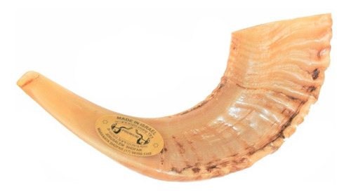 Imagem 3 de 6 de Shofar Chifre De Carneiro De Tocar - De Israel E1 25-29 Cm