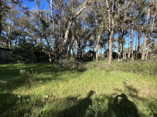 Terreno En Venta En La Barra Barra Verde