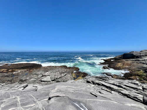 Gran Casa En Primera Línea Con Vista Impresionante, Zapallar