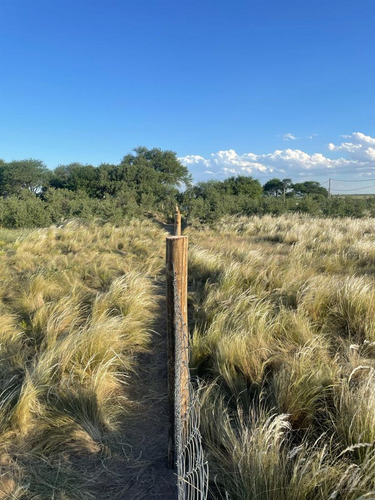 Venta Terreno Cardo Ruso S/n- Altos De Kamal- Toay