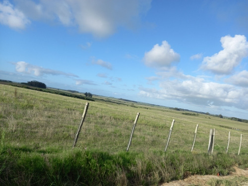 Chacra En Jose Ignacio