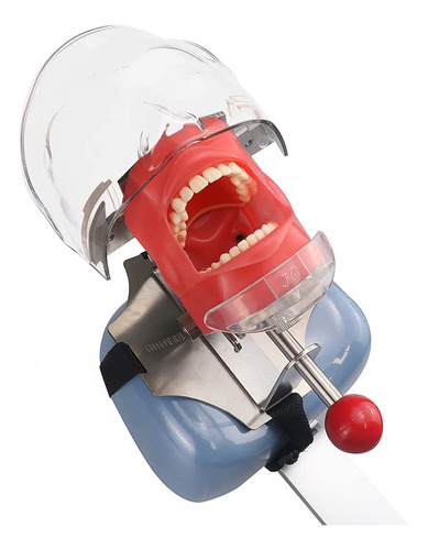 Simulador Dental Nissin Manikin Phantom Head Dental Phantom