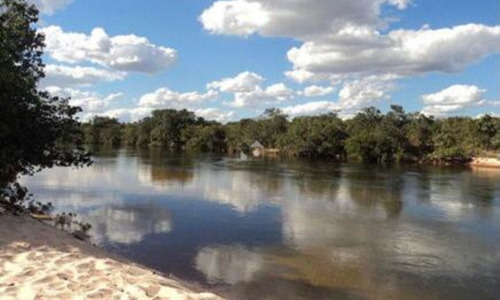 Imagem 16 de 20 de Fazenda Em Jalapão - 2648