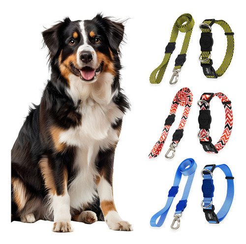 Coleira Cachorro Com Guia Porte Cães Mood Pet Coleção Califa Cor Bee Tamanho da coleira G