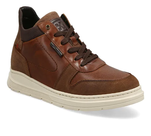 Zapatilla Urbana Cardinale Zapatillas Cuero Haarlem-0-57 Bra