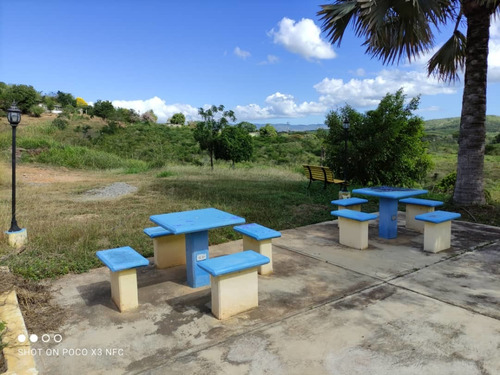 Imagen 24 de 28 de Venta De Hermosa Finca En El Estado Lara