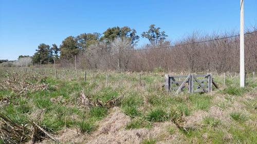Imagen 4 de 5 de Lote De Terreno En Venta De 1200 M2 En San Miguel Del Monte