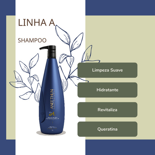 Kit Shampoo E Máscara Hidratação Aneethun Linha A Litro.