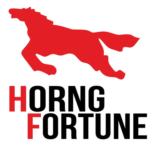 Imagen 4 de 8 de Cubierta Horng Fortune 225-16 F851 Street