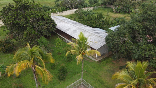 Imagen 8 de 25 de Espectacular Finca En Bejuma Alto De Reyes Carabobo Jc-lp