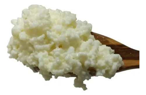 Nodulos Kefir De Leche - Kg a $2750