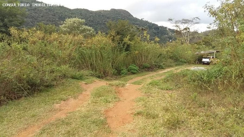 Imagem 6 de 6 de Terreno Para Venda Em Teresópolis, Posse - Trn-100_1-1374118
