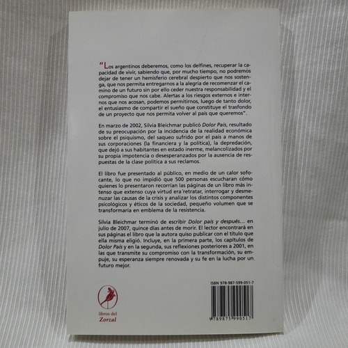 Imagen 3 de 10 de Dolor País Y Despues Silvia Bleichmar Zorzal