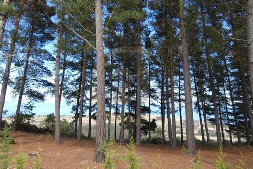 Terreno Tunquén: Naturaleza Y Vista Al Mar