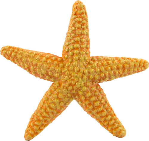 Safari Ltd Wild Safari Sea Life Starfish