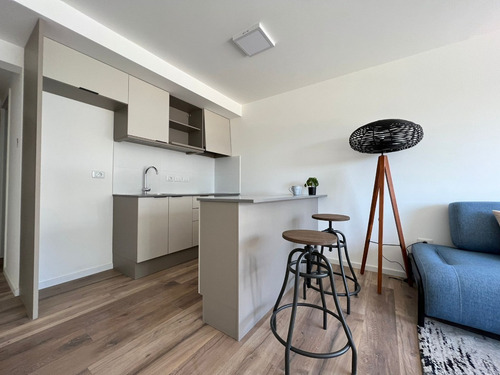 Imagen 13 de 23 de Venta Apartamento Penthouse Monoambiente Con Parrillero