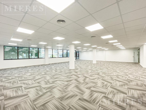 Imagen 3 de 28 de Oficinas En Alquiler De 620 M2 Sobre Avda.del Libertador En Vicente López