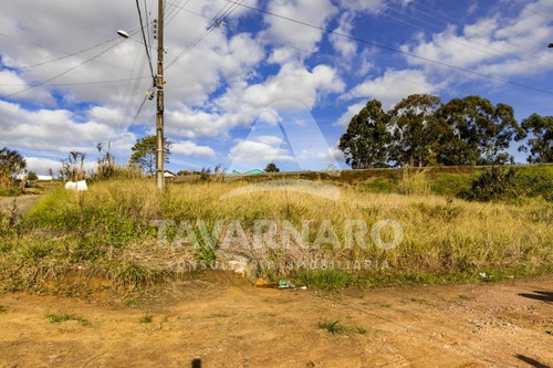 Imagem 3 de 10 de Terrenos - Ref: V5767