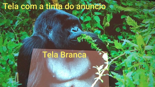Tinta Para Projeção Parede E Madeiras Imagem Hd, 4k Etc.