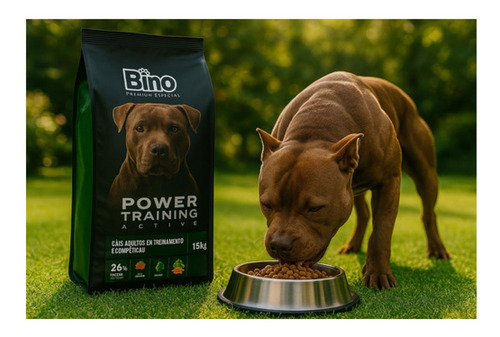 Ração Para Cachorro Com Whey Power Training 26% Adulto 15kg