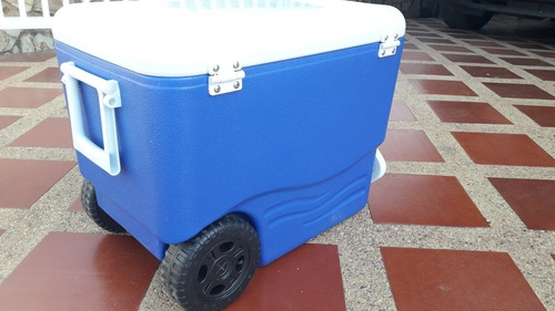 Imagen 5 de 5 de Cava De 40l Premium Marca Ice Roller.