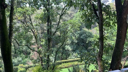 Imagen 15 de 15 de 1272- Planta Jardin Venta Vista Hermosa