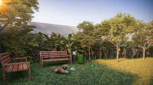 Imagem 14 de 16 de Oportunidade De Negocio , Excelente Apartamento A Venda , Vila Mariana, De R$1.907.000,00 Por R$ 1.678.160,00 - Ap01409 - 70001856