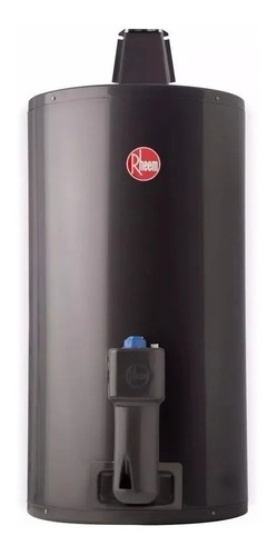 Termotanque Rheem Gas Natural 80litros Tgnc080rh Colgar Inf