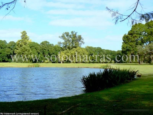 Benquerencia - San Miguel Del Monte Buenos Aires - Chacra 2da Fila Golf - 100