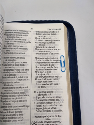 Imagen 6 de 8 de Biblia Estuche Azul Y Dorada Letra Grande Reina Valera 1960