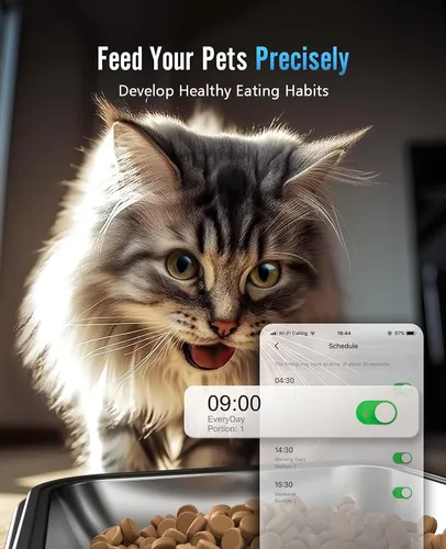 Comedero Automático Para Gatos Oneisall Con Wifi De 5 G, Aut