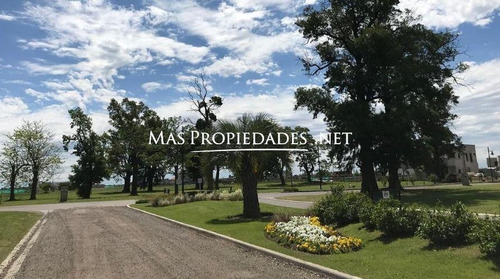 Imagen 3 de 6 de Terreno A La Laguna En San Lucas