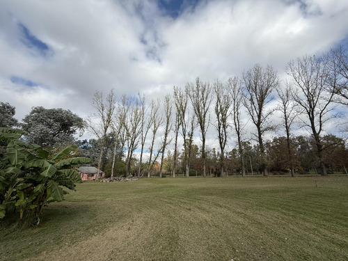 Altos De Robles-residencial-terreno10.000m2- 3 Casas(1 De 20años Antig. Y 2 A Reciclar)