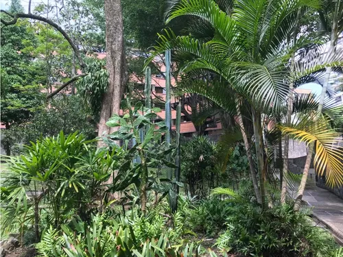 Amplio Apartamento Poblado Castropol Parte Baja