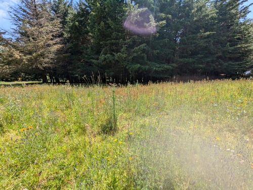 Terreno En Venta En Tres Marías