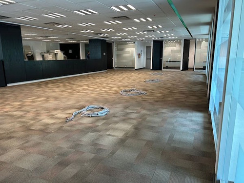 Oficina En Renta En Lomas De Chapultepec De 525 M² Lv113