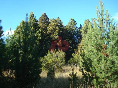 Imagen 7 de 11 de Terreno - Villa Lago Gutierrez