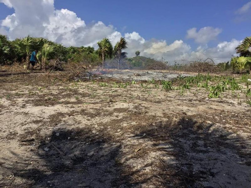 Terreno En Venta En Mahahual