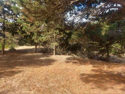 Imagen 11 de 15 de Terreno En Venta En Las Gaviotas
